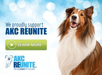 AKC Reunite Pet Microchips